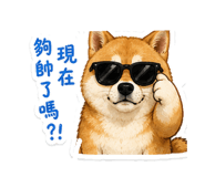858618925
