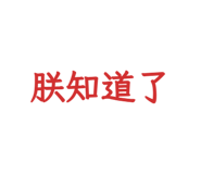 858620240