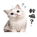 858623386