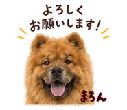 858624627