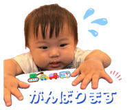 858624955