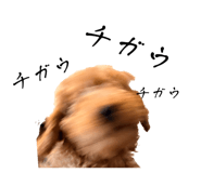858625487