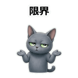 858632204