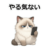 858632325