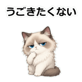 858632337