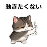 858632462