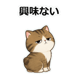 858632482