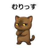 858632555
