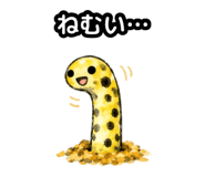858637806