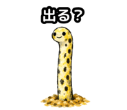 858637811