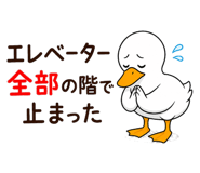 858638243