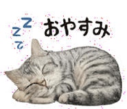 858638761