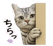 858638764