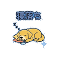 858640325