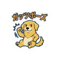 858640330