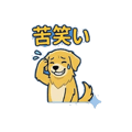 858640333
