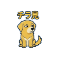 858640343