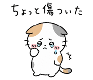 858642206