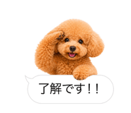 858642844
