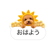 858642847