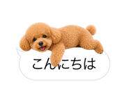 858642848