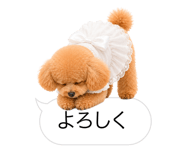 858642857