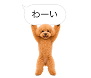 858642861