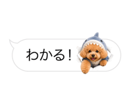 858642870