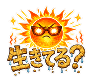 858645556
