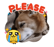858646178
