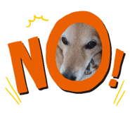 858646180