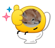 858646184