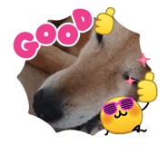 858646191
