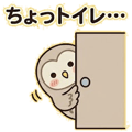 858646244