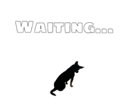 858646656