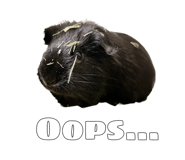 858646658