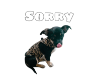 858646667