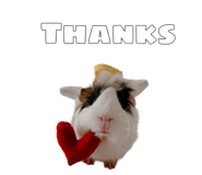 858646679