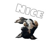 858646682
