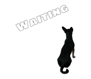858646685