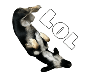 858646686