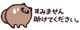 858646733