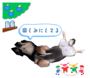 858646802