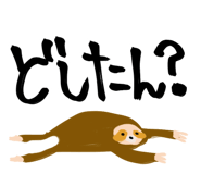 858646833