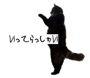 858647101
