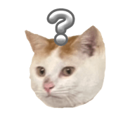 858647110