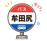 858648070