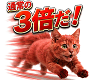 858649361