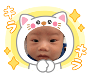 858650336
