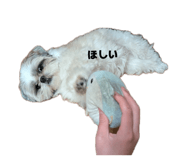 858650858